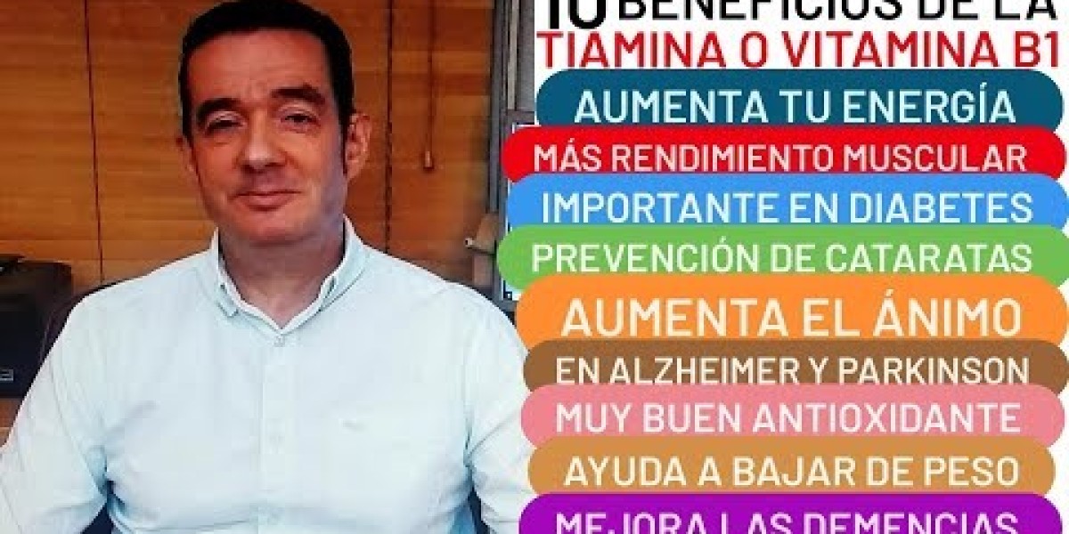 Romero: qué es, botánica, propiedades terapéuticas, beneficios y usos en la cocina