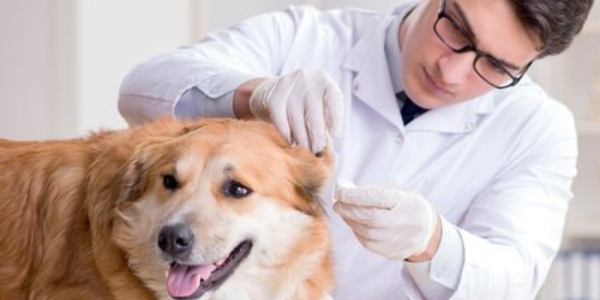 Equipos de radiología veterinaria y resonancia magnética