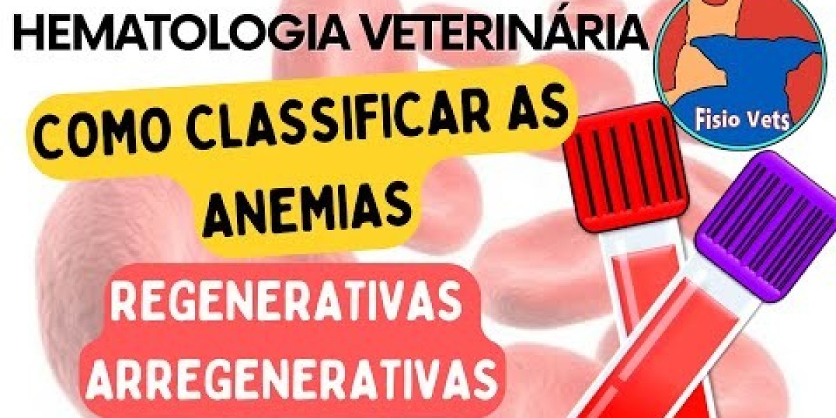 Radiografías de un perro: anatomía normal vet-Anatomy