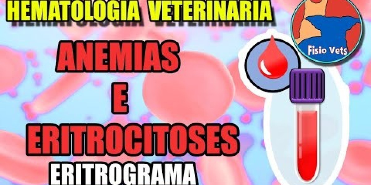 Ecocardiografía en veterinaria