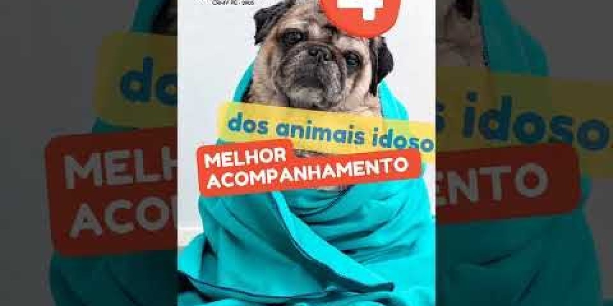 Problemas cardiacos en los perros: por qué es importante detectarlos a tiempo