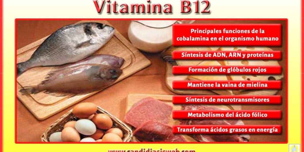 La verdad sobre la vitamina B12: ¿Engorda o adelgaza?