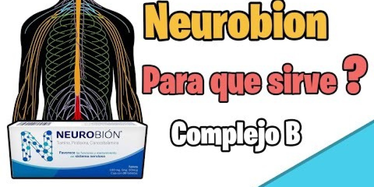 Ruda: propiedades, para qué sirve y contraindicaciones Guía completa