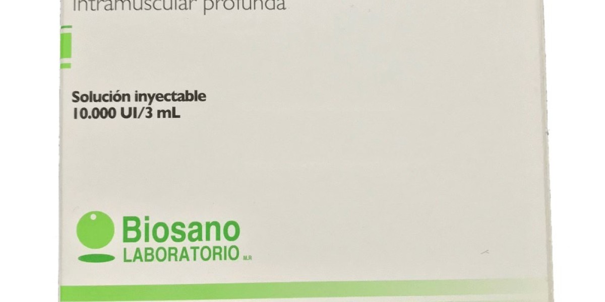 Vitamina B12, para qué sirve y beneficios para el organismo